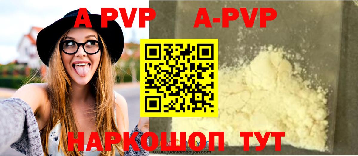 Alfa_PVP СК КРИС Рязань