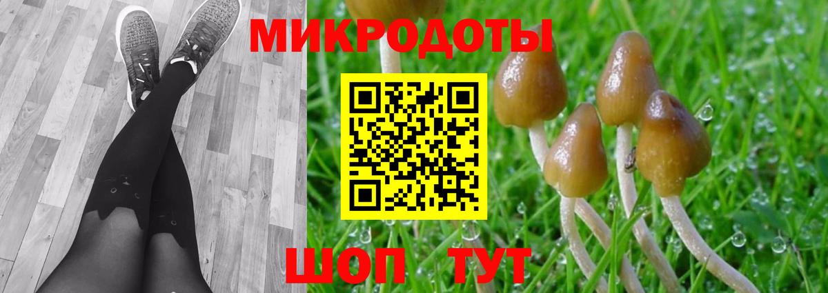 Рязань  Псилоцибиновые грибы Psilocybe  Вход с VPN  Псилоцибиновые грибы GOLDEN TEACHER 